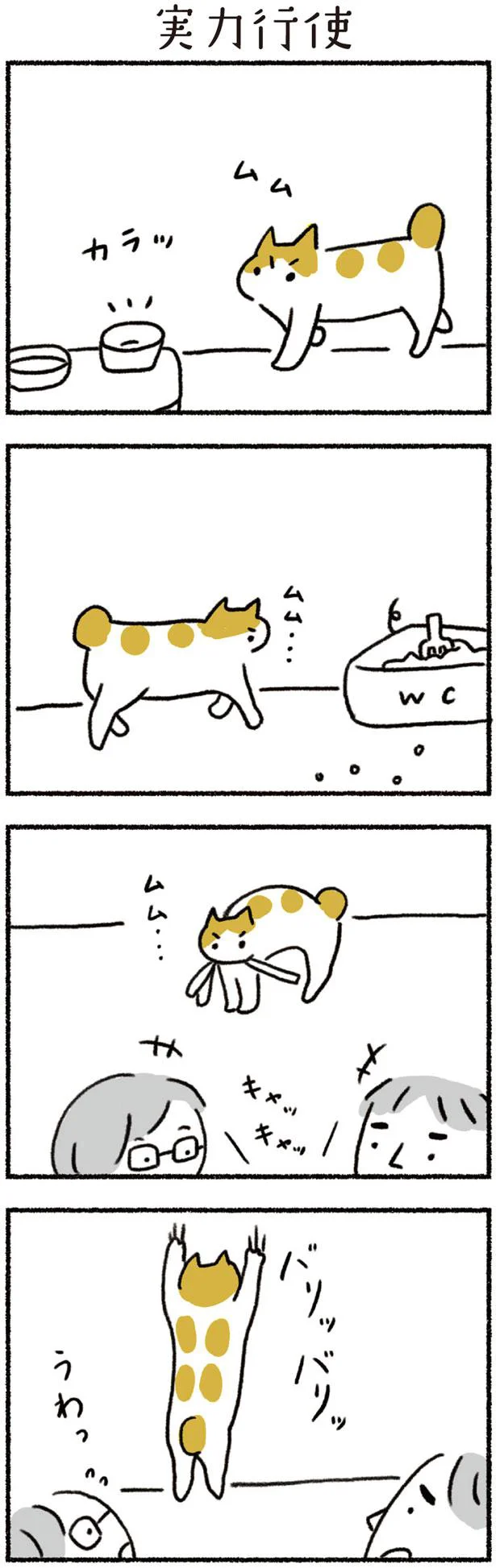 「ねこと赤ちゃん」