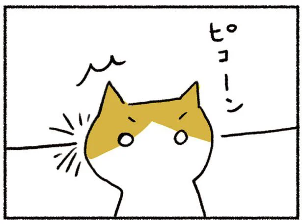 きなこ、ひらめいた！