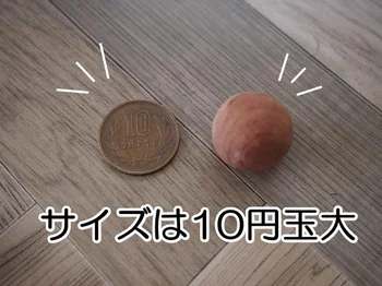 10円玉サイズのころんとかわいい「シダーボール」