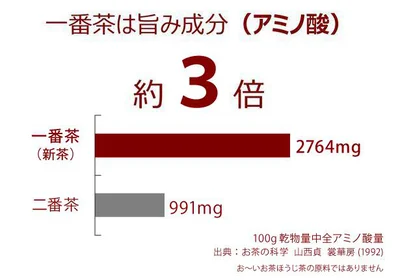 一番茶のうまみ成分(アミノ酸)は、6月頃に摘み取る二番茶の約3倍