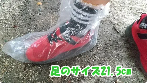 使い捨て靴カバーは21.5cmでも使えた!