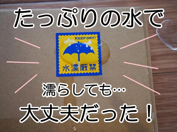 たっぷり水をかけても大丈夫！これなら安心です