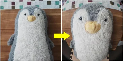 ぬいぐるみを撮影してみたら存在感が増した！