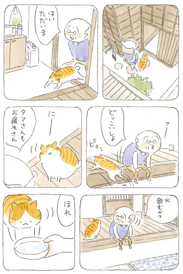 【続きを読む】猫のタマさんと二人暮らしの風景