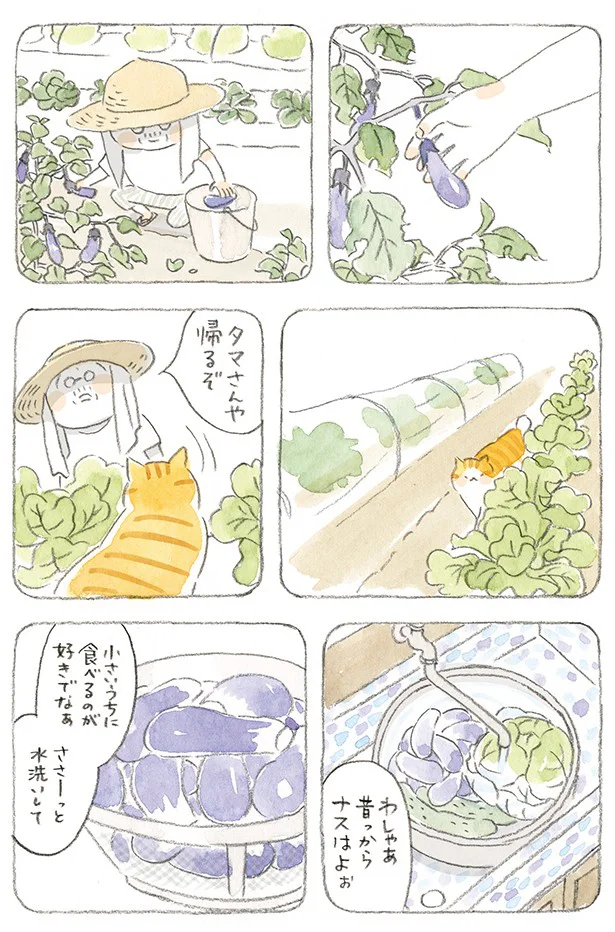 抜粋連載その3】ねことじいちゃん3 「へんくつばーちゃん」 - レタスクラブ