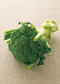 緑黄色野菜の王様「ブロッコリー」の栄養を余すことなく調理するコツとは？