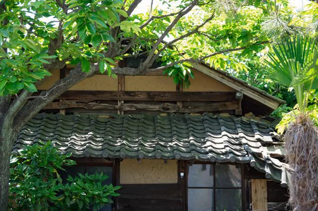 怒りっぽい隣人の家の木が我が家へ。伐採して欲しいけれど、怖くて言いづらいです…【お悩み相談】