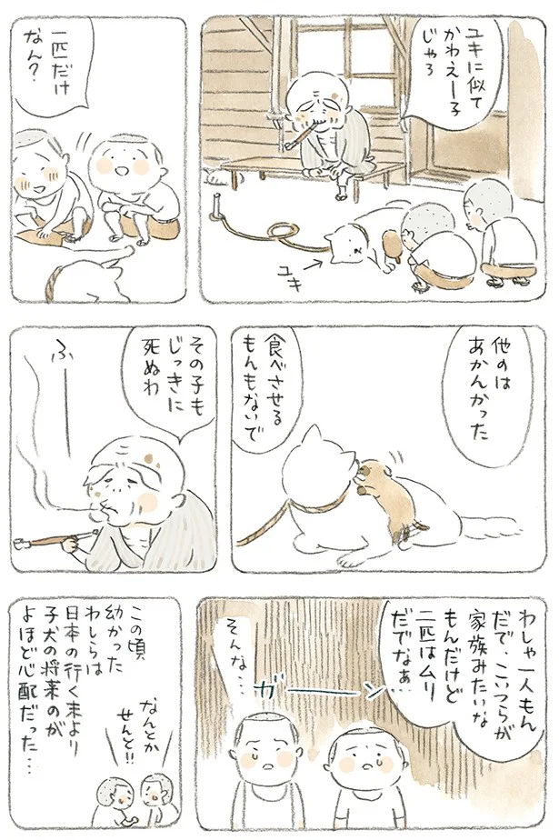 抜粋連載その5 ねことじいちゃん3 やるせない思い レタスクラブ