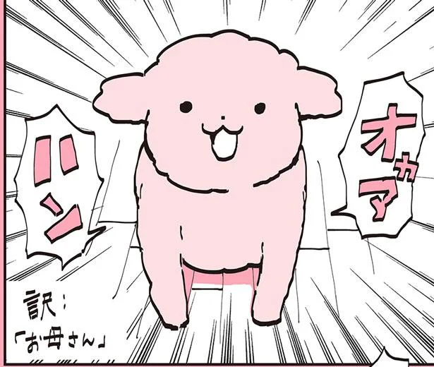トイプーが喋ったぁあ　うちのトイプーがアイドルすぎる。2（11）