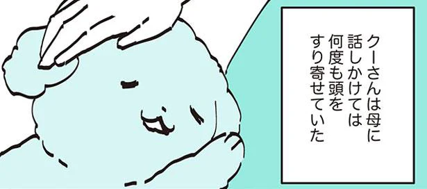 母が恋しくて　うちのトイプーがアイドルすぎる。2（12）
