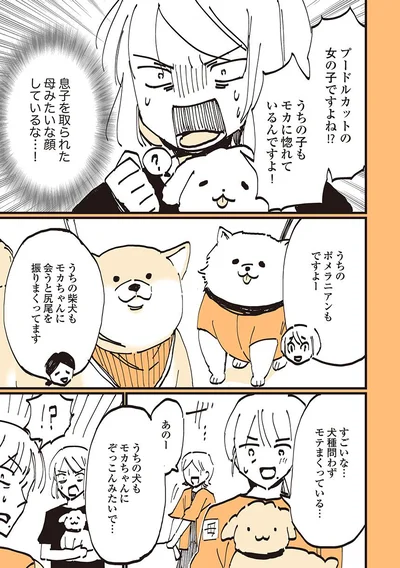 犬種を問わずモテる女の子