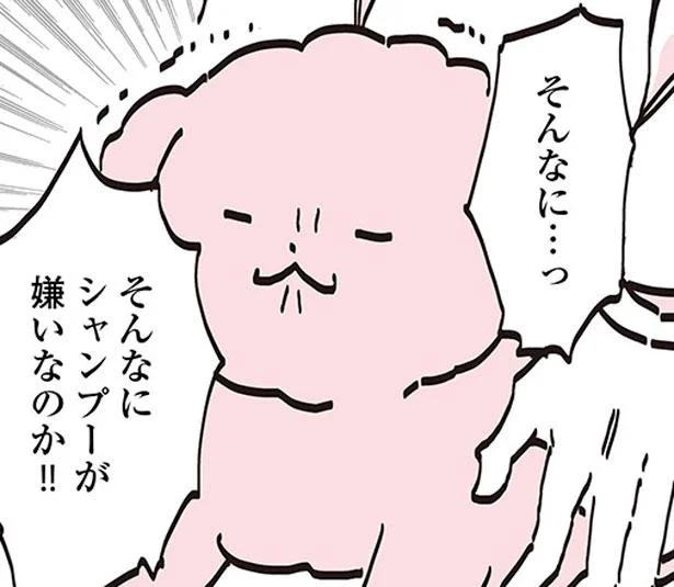 忍法重くなる術　うちのトイプーがアイドルすぎる。2（16）