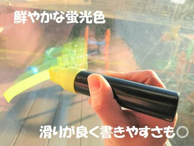 鮮やかな蛍光色がキレイ♪