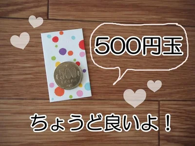 【画像】500円玉を入れるのにちょうど良いサイズです