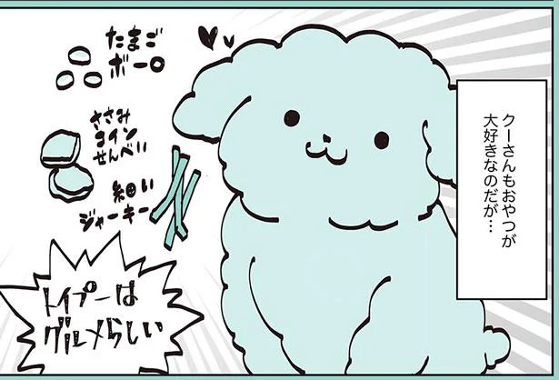 あざとい詐欺師出現　うちのトイプーがアイドルすぎる。2（17）