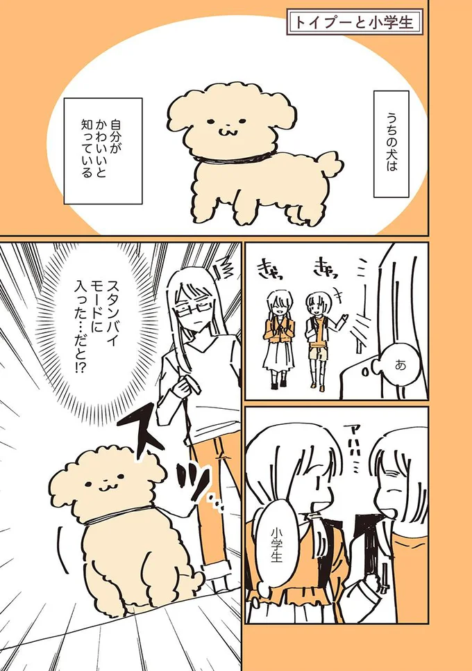 クーさんスタンバイモード!