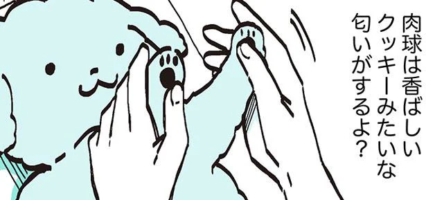 家族が信じられない　うちのトイプーがアイドルすぎる。2（25）