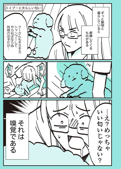 クーさんはめっちゃいい匂い