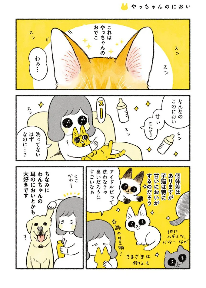 吸いすぎ注意 茶トラのやっちゃん 2 レタスクラブ 吸いすぎ注意 茶トラのやっちゃん 2 レタスクラブ