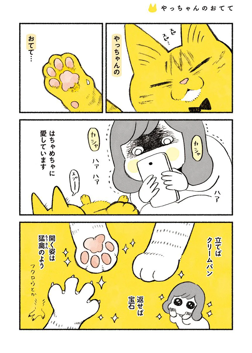 やっちゃん三点おまとめ 必殺クリームパンチ！ 茶トラのやっちゃん（3） - レタスクラブ