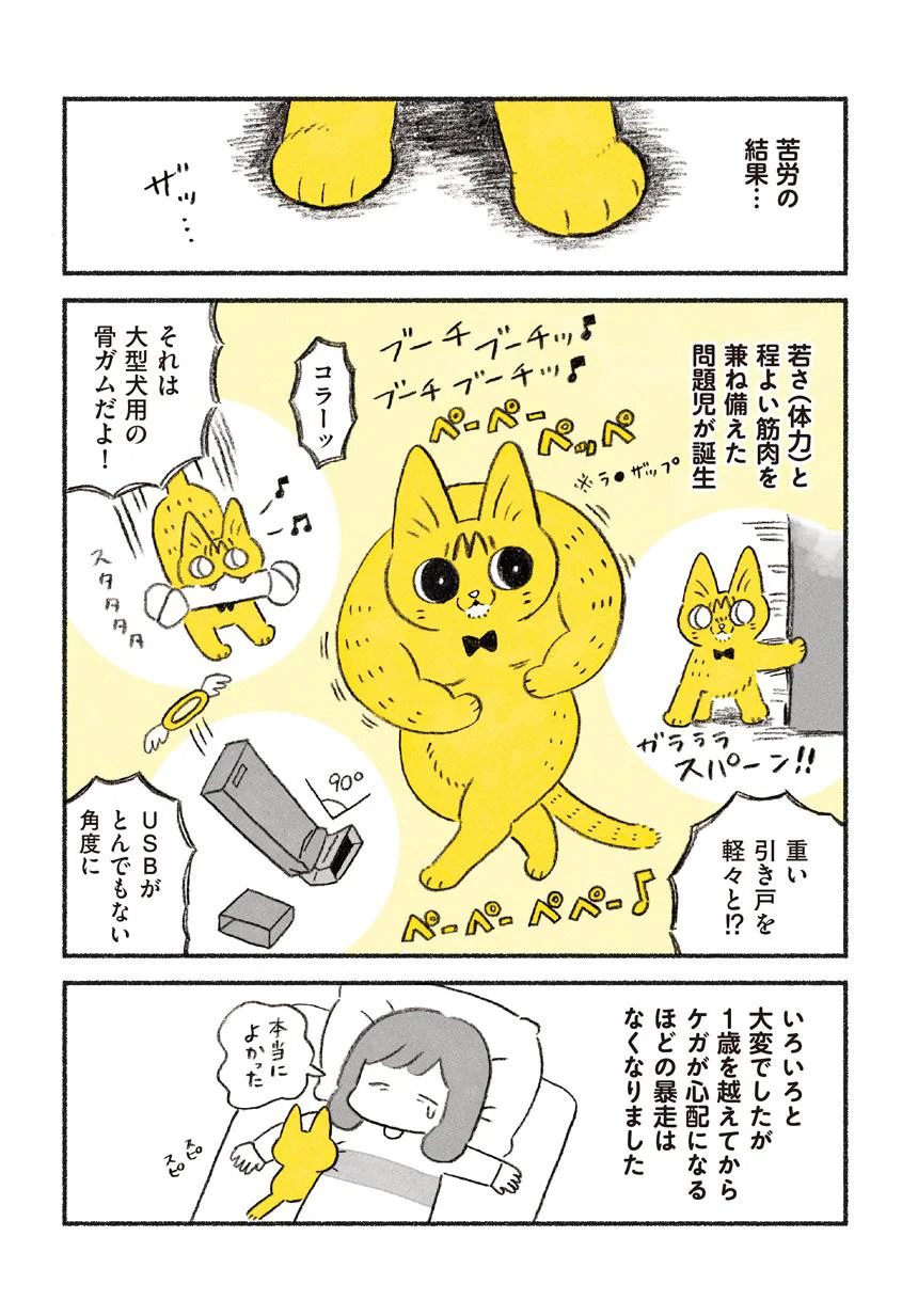 茶トラインパルス 茶トラのやっちゃん（6） - レタスクラブ