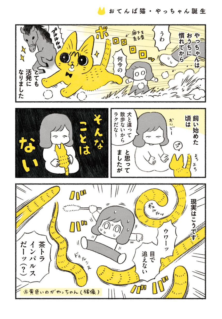 茶トラインパルス 茶トラのやっちゃん（6） - レタスクラブ