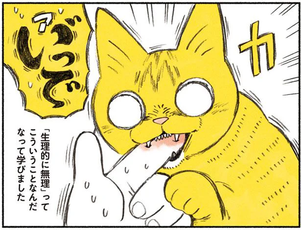 猫にも生理的嫌悪があるようで…