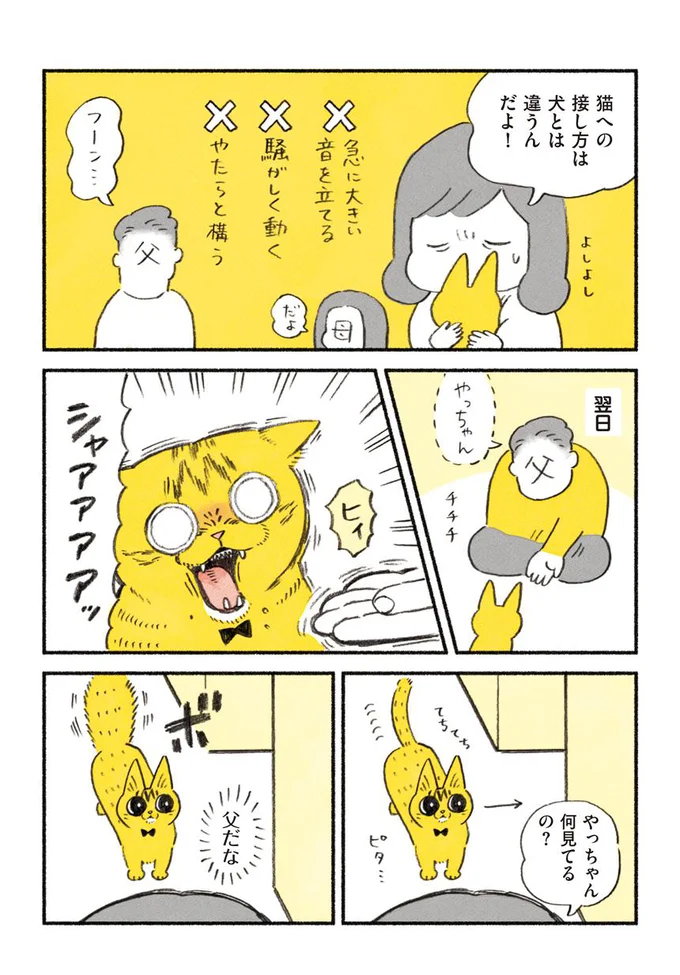茶トラとでかい父 茶トラのやっちゃん 7 レタスクラブ 茶トラとでかい父 茶トラのやっちゃん 7 レタスクラブ