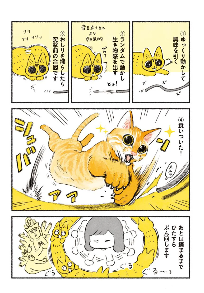 猫あそびのお作法 茶トラのやっちゃん（9） - レタスクラブ
