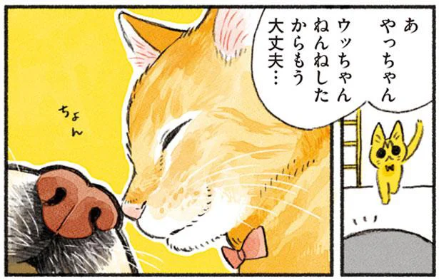 イキリ猫流のお別れ　茶トラのやっちゃん（13）