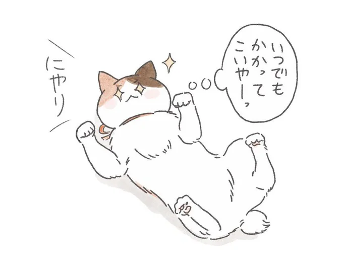 猫が体をなめるのはなぜ 猫に好かれる人は 目からうろこの猫トリビア レタスクラブ