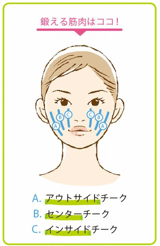 整形級の美人顔をゲット！美人顔に近づく筋トレ「鍛える」編