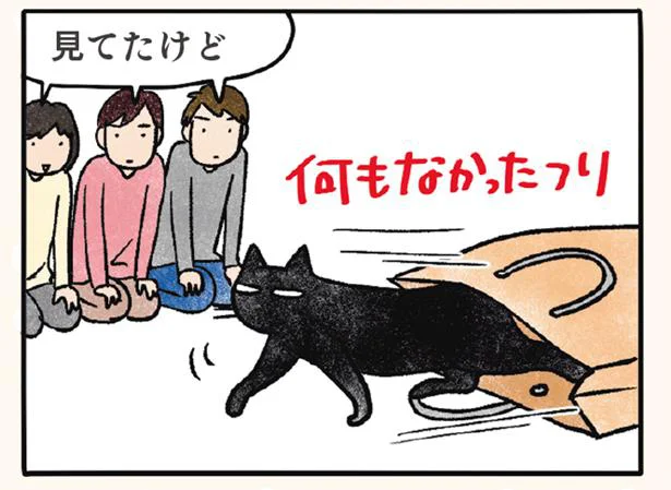 どんくさくて可愛いナノ 黒猫ナノとキジシロ猫きなこ 1 レタスクラブ