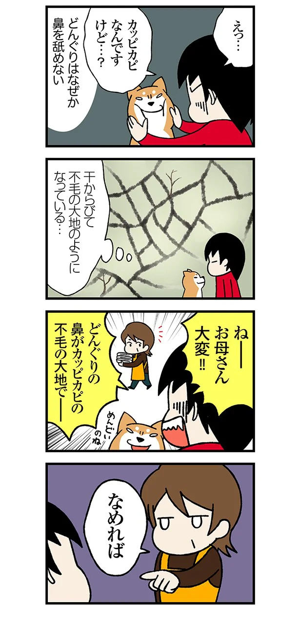 連載 ドヤ顔柴犬どんぐり 第1回 マイ降りたマイケル レタスクラブ 連載 ドヤ顔柴犬どんぐり 第1回 マイ降りたマイケル レタスクラブ