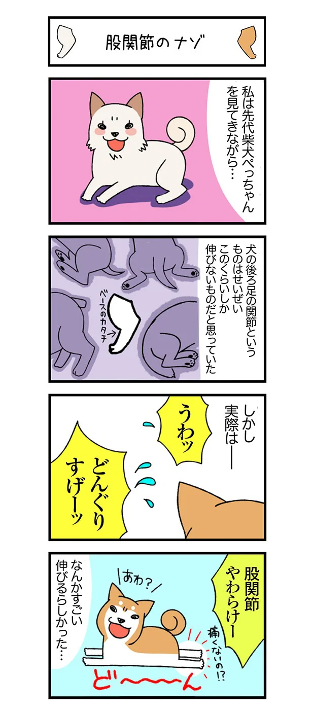 連載 ドヤ顔柴犬どんぐり 第1回 マイ降りたマイケル レタスクラブ 連載 ドヤ顔柴犬どんぐり 第1回 マイ降りたマイケル レタスクラブ