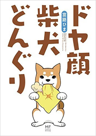 単行本発売中！『ドヤ顔柴犬どんぐり』