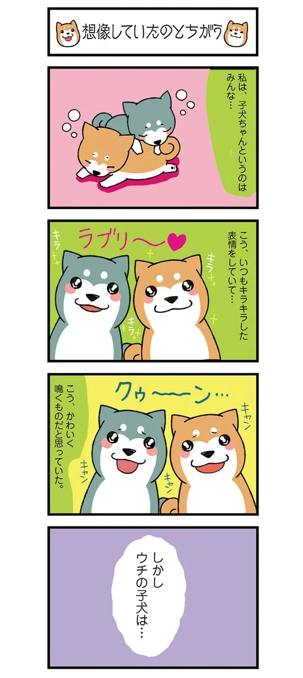 【連載】ドヤ顔柴犬どんぐり　第5回 想像していたのとちがう