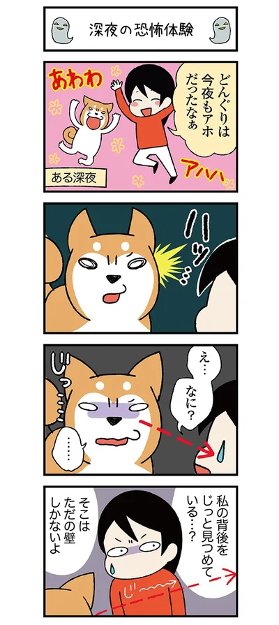 連載 ドヤ顔柴犬どんぐり 第4回 きのみ 画像3 5 レタスクラブ 連載 ドヤ顔柴犬どんぐり 第4回 きのみ 画像3 5 レタスクラブ