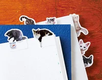 猫はノートで飼う時代？ 貼りすぎ注意の｢猫ふせん｣