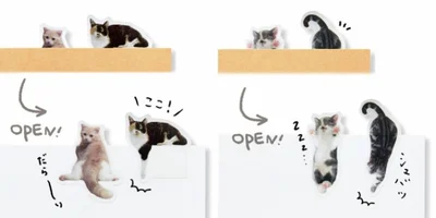〈開けると……猫〉