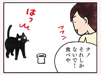 この手は毎回は使えない…！？