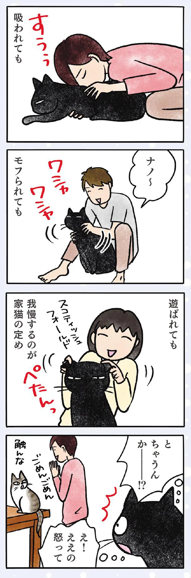 ナノと下僕な家族たち 黒猫ナノとキジシロ猫きなこ 3 レタスクラブ ナノと下僕な家族たち 黒猫ナノとキジシロ猫きなこ 3 レタスクラブ