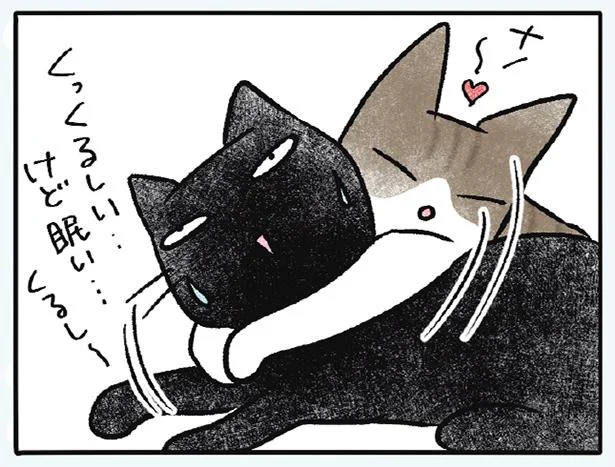 ナノときなこ　黒猫ナノとキジシロ猫きなこ(4)