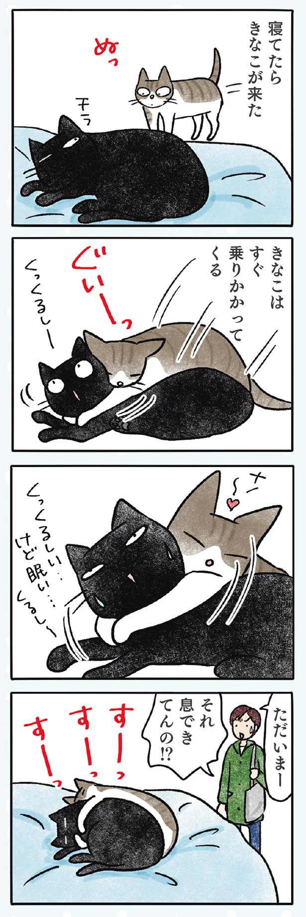【画像を見る】黒猫ナノとキジシロ猫きなこ