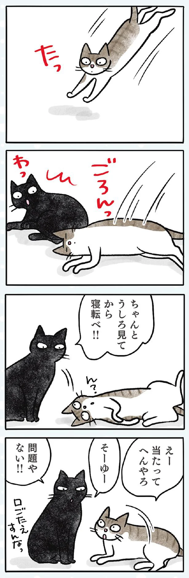 ナノときなこ 黒猫ナノとキジシロ猫きなこ 4 レタスクラブ ナノときなこ 黒猫ナノとキジシロ猫きなこ 4 レタスクラブ