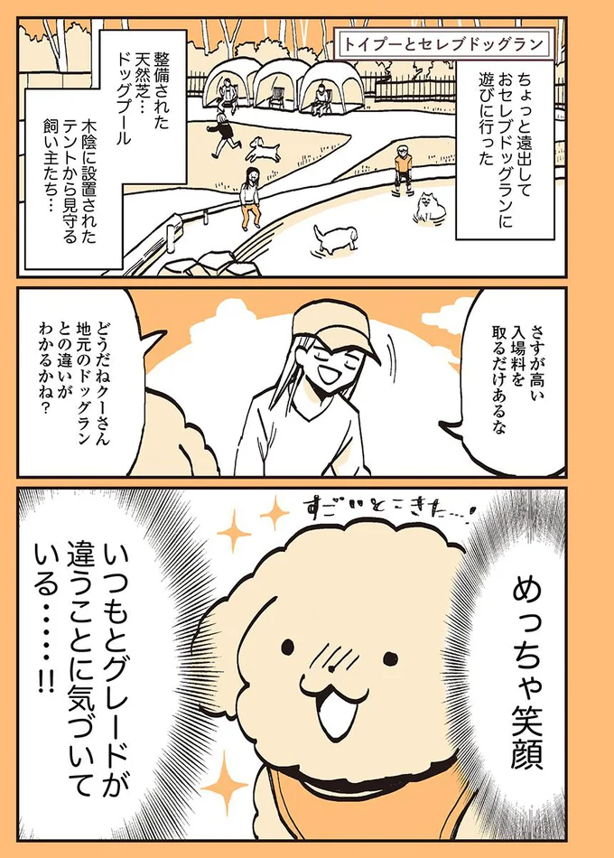 グレードの違うドッグラン!