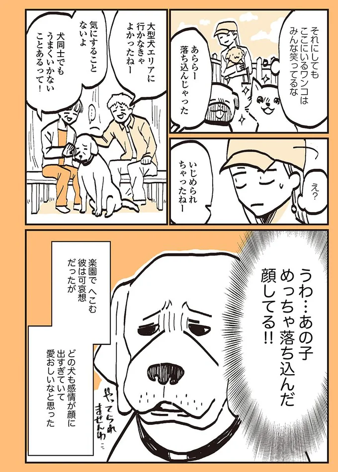 どの犬も表情が愛おしい