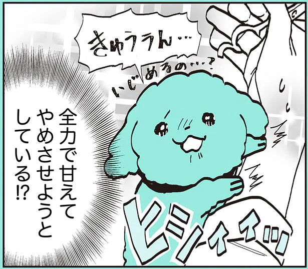 あざとさは武器　うちのトイプーがアイドルすぎる。2（30）