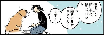 ゴンさんお手できる？