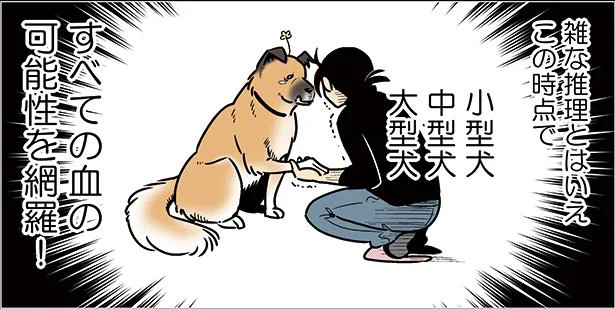 ゴンさんのルーツ　雑種犬ゴンさんがダサかわいい(6)